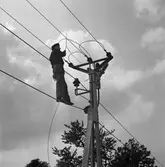 Arbetsbild på elektrifieringsarbeten på sträckan Varberg-Strömstad vid Vargön