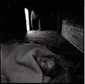 Djur och skötare i godsvagn.