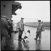 Två jägare med utrustning och jakthund.