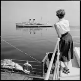 Tågfärjan S/S Gustav V möter S/S Starke.