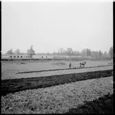 Motorvagnståg på linjen.