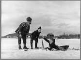 Statens Järnvägar, SJ gör reklam för Nils Holgerssonturen 1957.