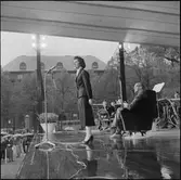 Statens Järnvägar, SJ gör reklam för Nils Holgersson turen.