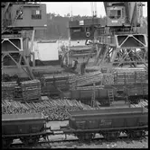 Lastning. Trafikaktiebolaget Grängesberg–Oxelösunds Järnvägar, TGOJ M4 4425, TGOJ M2 3200.