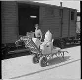 Resgodsvagn. Omlastning av gods.