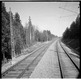 Miljöbild över efter linjen.