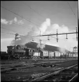 Godståg vid godsmagasin.