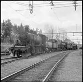 Nedkopplade ånglok uppställda i Långsele för vidare transport.