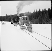 Plogtåg mellan Backe och Tåsjöberg