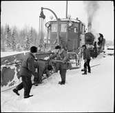 Vingplogen görs i ordning för transport .