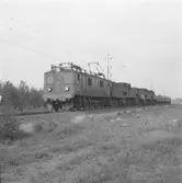 Statens Järnvägar,SJ Dg 154 med ånglok för skrotning.