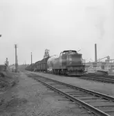Statens Järnvägar, SJ T43 244 med godståg.