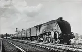 Express lok, London North Eastern Railway, L.N.E.R. A.4 14. 