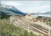 Vy över Abisko Ö station.