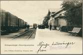 Grängesbergs Järnvägsstation år 1902.