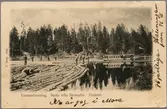 Flottning på Särnasjön vid sekelskiftet.