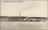 Nyhamns cellulosafabrik.