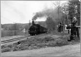 Sista smalspåriga ångloksdragna tåget passerar bommarna vid Överums Herrgård den 10/5 1964 på linjen Åtvidaberg - Västervik.