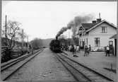 Svenska Järnvägsklubben reser en sista gång med smalspårigt ånglok på Västerviksbanan, här vid Nelhammar station.