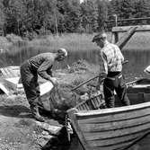 Dåligt fiskeår i Hjälmaren.
16 juli 1957.