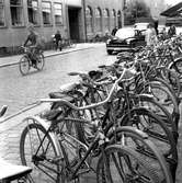 Cykelbeståndet ökar.
9 juli 1957.