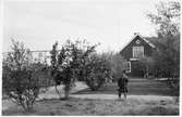 Bergfors station öppnades 1903 med stationshus i trä. Elektrisk växelförregling. Delen av Malmbanan vid Bergfors elektrifierades 1915. Stationen upphörde 1997. Trädgårds skötsel.
