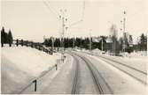 Vy vid Dalgränsen som tidigare hette Baggå. Håll- och lastplats öppnad 15.12.1917
