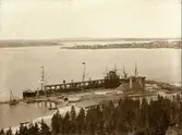Svartön med elevatorn.
Elevatorn var första malmlastningsanordningen och byggd under åren 1887-1888. Anordningen bestod av en hydraulisk hiss som tog två järnvägsvagnar i taget upp till själva lastbryggan, varifrån malmen tömdes direkt i fartygens lastrum.