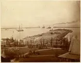 Utsikt över del av Malmö hamn. Segelfartyg och ångfartyg. Fotografen Sharengrad föddes 1834 död 1878. Han blev hovfotograf 1872.