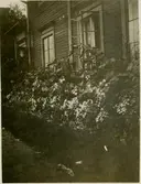 Blomrabatt Mellansel