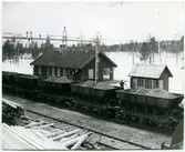 Sverige & Norge Järnväg, S&NJ,  Malmvagn SJ Mas