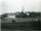 Skärkind omkring 1900. Kor på ängen framför stationshuset.