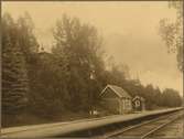 Planterad banslänt vid Österås station.