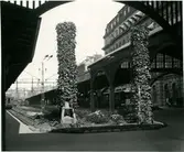 Plantering vid Stockholm Centralstation.