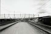 Bangårdsområde vid Tjörnarp station.