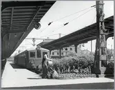 Göteborgs centralstation, spår 3. Planteringsskötsel
