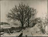 Tomteboda station. Ekarna vid stationen.