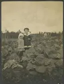 Vitkålsland vid tjänstebostad i Ulriksfors.