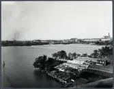 Vy över Årstaholmarnas trädgårdsodling från Årstabron. Liljeholmsbron i bakgrunden.