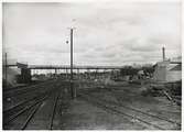 Ställningsbro för vägbro, under bygget av vägbro över bangården vid Lund centralstation, mars 1925.