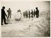Statens Järnvägars slipersfabrik, Piteå.
Isbrytningsarbete vid bassäng.