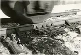 Banarbete efter urspårning av tåg 93, Nordpilen, på sträckan mellan Simeå och Undersvik 1956-03-27.