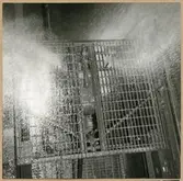 Tvättmedelspåsprutning.