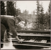 Växelkorsning från olycksplatsen efter urspårning i Simeå mars 1961.