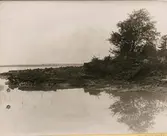 Kustområdet nedanför tågolyckan i Getå den 1 oktober 1918 som orsakades av ett jordskred.