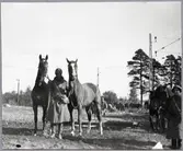 Hästarna bortföras efter lossning och vattning.