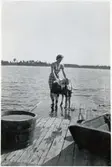 Siri och brorsonen Göran med kalv på bryggan.
