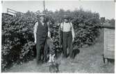 Fiskefångst av brax och ål midsommaren 1941. Långsjö-Pelle, här med fadern Per Andersson och familjens hund Topsy.