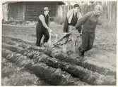 Plogning våren 1941. Till vänster Långsjö-Pelle.