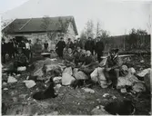 Samer från Rantasvuoma är inbjudna för att köpa en björnhud